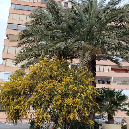 Miramar Apartment Torrevieja