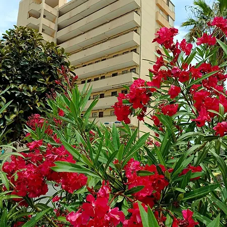 Miramar アパート *